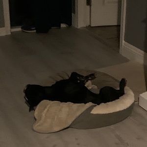 Meet your Posher, Aiden